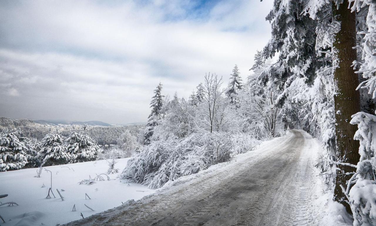 Sloneczny Chelm - Apartamenty W Gorach, Prywatna Sauna Jacuzzi Balia W Cenie, Spa, Grill, Stok Narciarski Myslenice, Sciezki Rowerowe, Rzeka Raba, Widok Na Tatry Eksteriør bilde