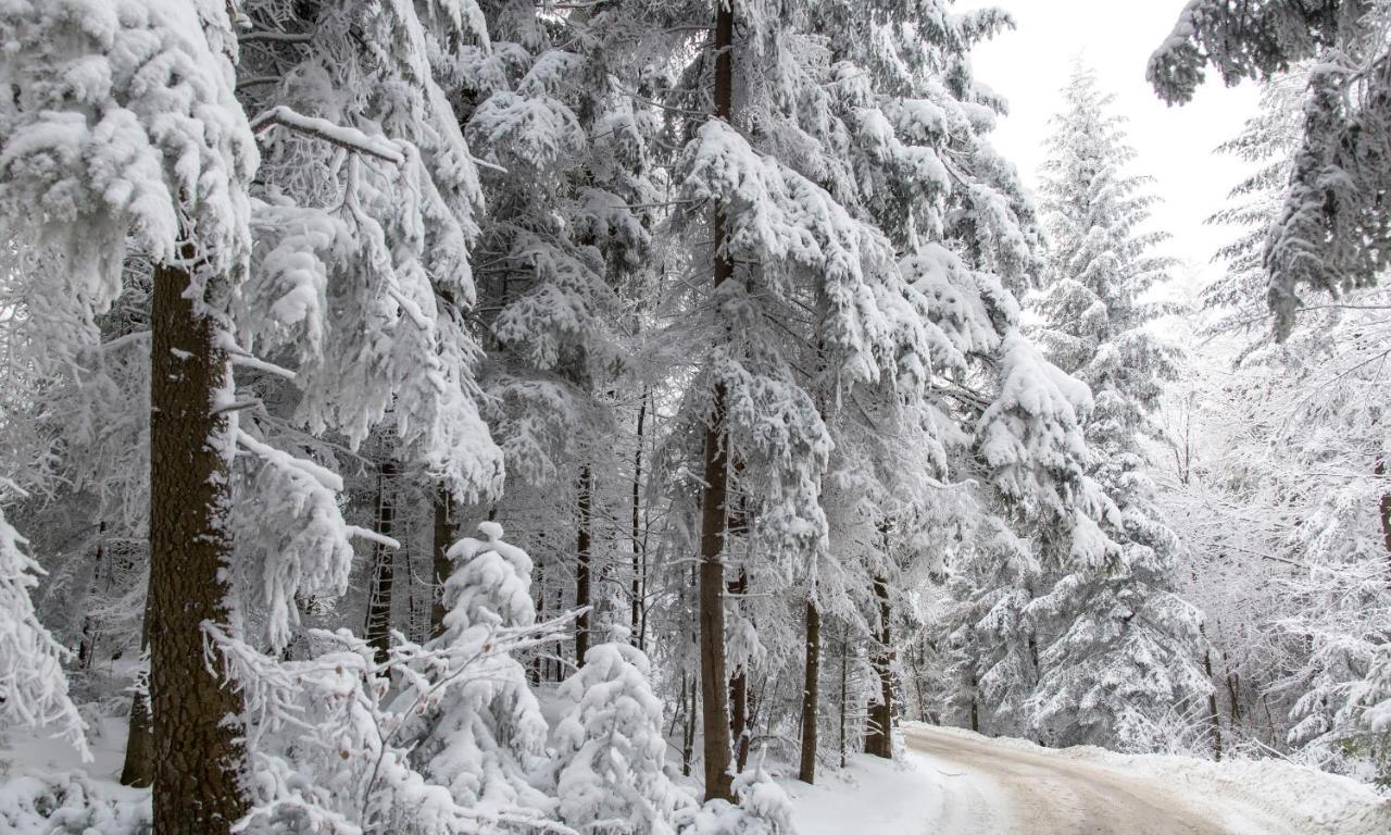 Sloneczny Chelm - Apartamenty W Gorach, Prywatna Sauna Jacuzzi Balia W Cenie, Spa, Grill, Stok Narciarski Myslenice, Sciezki Rowerowe, Rzeka Raba, Widok Na Tatry Eksteriør bilde