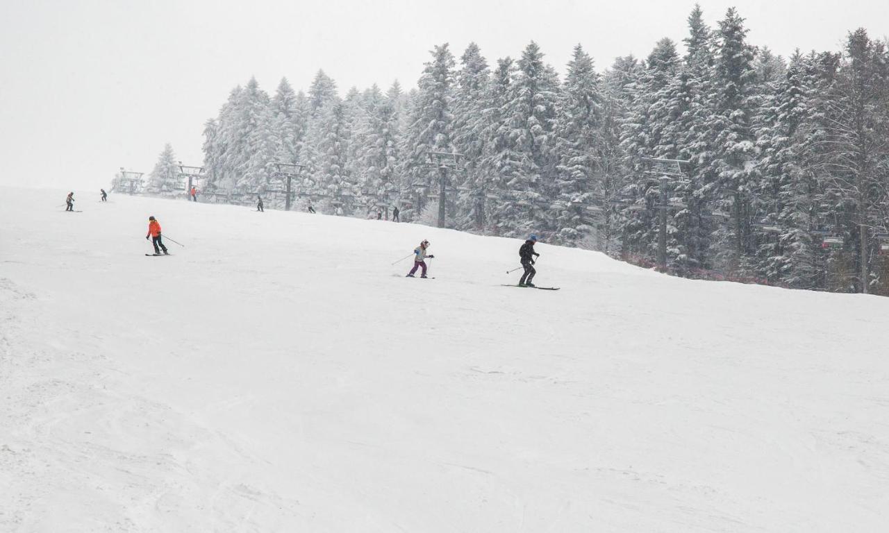 Sloneczny Chelm - Apartamenty W Gorach, Prywatna Sauna Jacuzzi Balia W Cenie, Spa, Grill, Stok Narciarski Myslenice, Sciezki Rowerowe, Rzeka Raba, Widok Na Tatry Eksteriør bilde